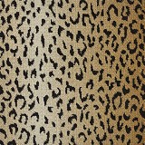 Nourison Carpets
Jungle Cat